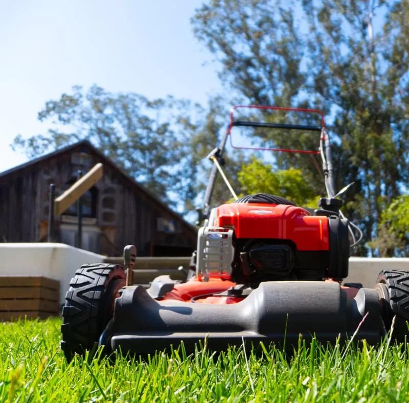 Expert lawn care services in Mississauga provided by Superior Lawn Care & Snow Removal